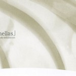 斎藤麗 展「lamellas」【小品展2009チャレンジ賞授賞】の画像