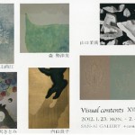 Visual contents XVIの画像