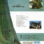 房総の巨樹　山崎 美喜男 写真展の画像