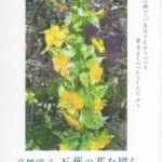 高橋洋子　万葉の花を描くの画像