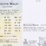 「BUNTER WALD　-色とりどりの森- 」展の画像