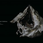 高橋邑木　個展「進化≠変化～人体と生物の融合」の画像
