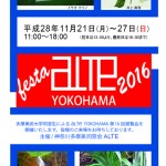 festa ALTE YOKOHAMA 2016の画像