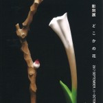 染矢義之 彫刻展　「どこかの花」の画像
