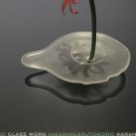 奥野美果『GLASS WORK・光のあるところ』の画像