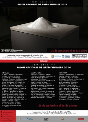 SALON NACIONAL DE ARTES VISUALES 2014