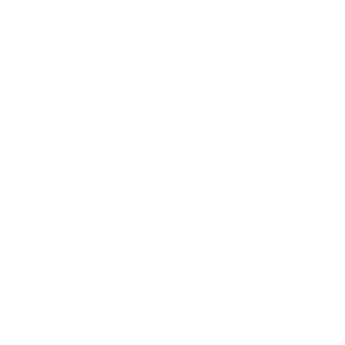Tohoku Field Research