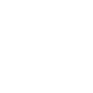 Lecture And Workshop
