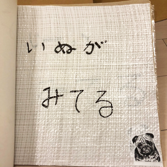 なにみてる？