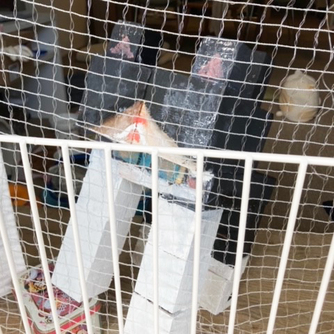 ほっぺ！！